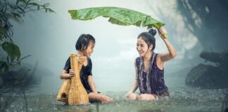 Co to są kultury bakterii?